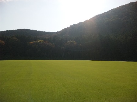 ペンクロス圃場